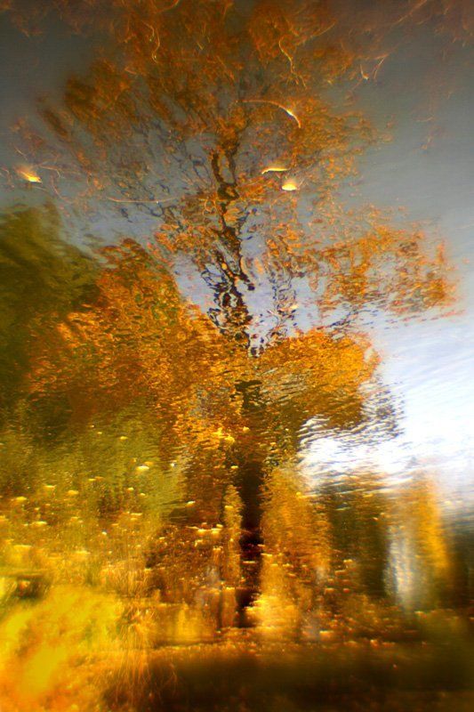 золотая осень фото превью