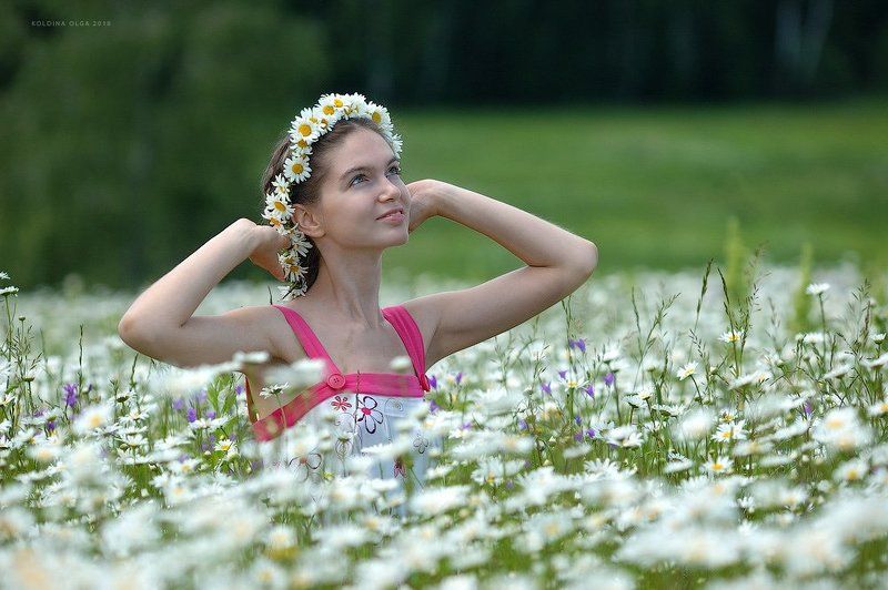 Ромашки фото превью