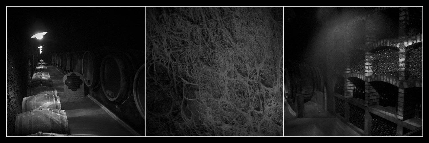 , Андрей Кобыща