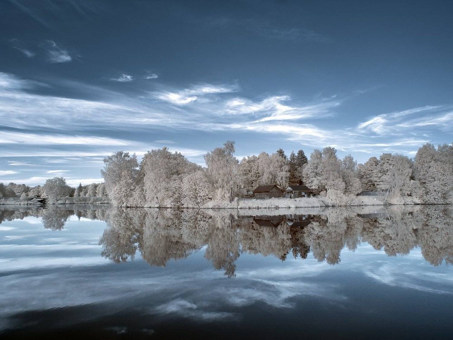 , Максим Евдокимов