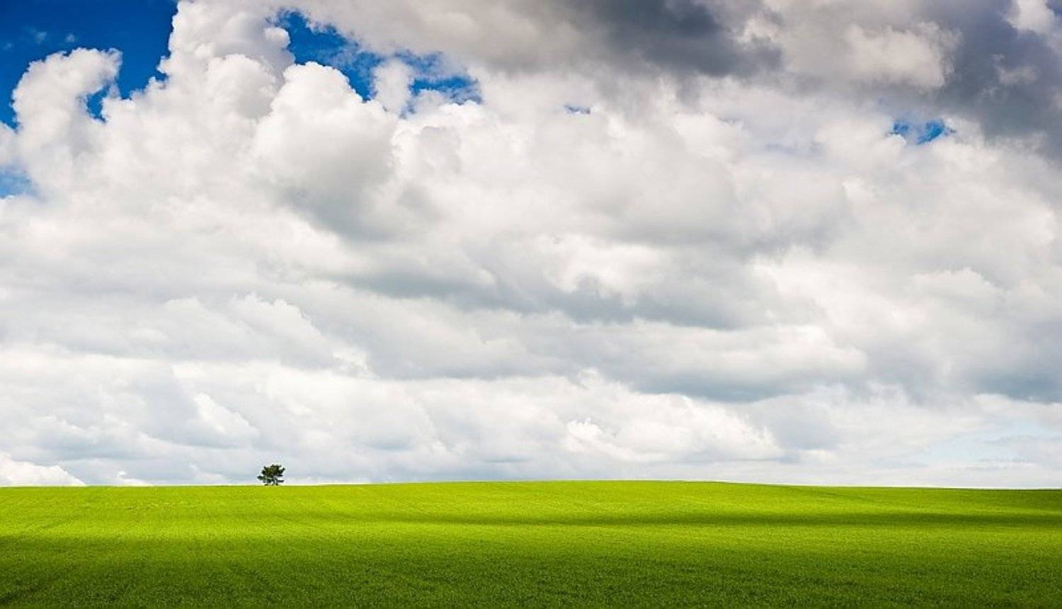 земля, трава, поле, облака, небо, дерево, одинокий, тени, KSergeyV