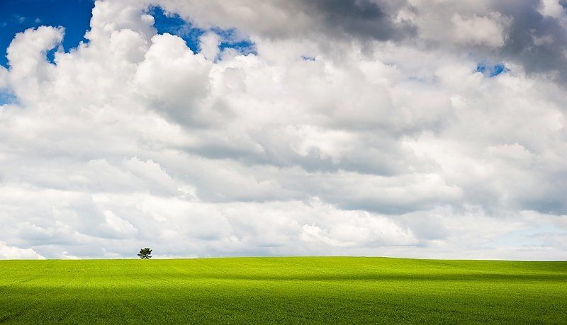 земля, трава, поле, облака, небо, дерево, одинокий, тени Земля и небо фото превью