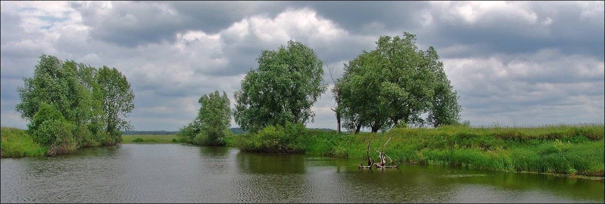 природа, Тарасов Алексей