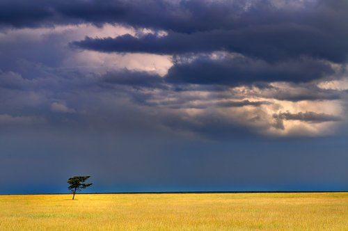 Война и мир