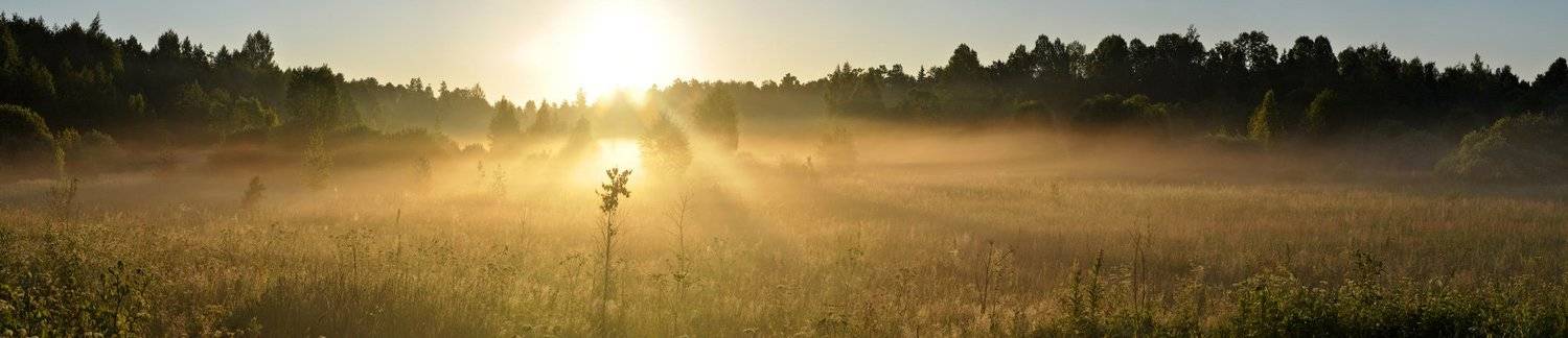 рассвет, лес, луг, солнце, туман, Динара