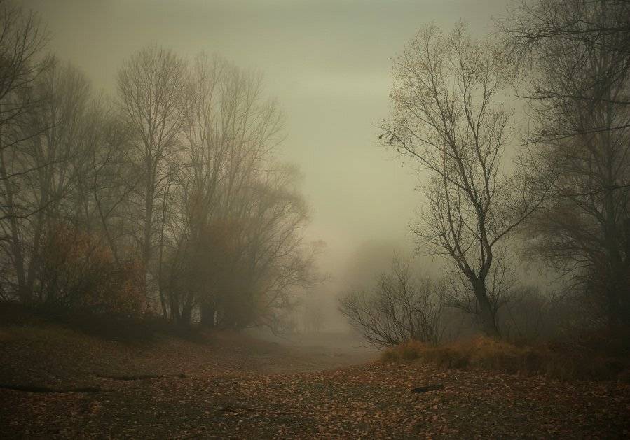 , Эдуард VTORNIK  Николаев