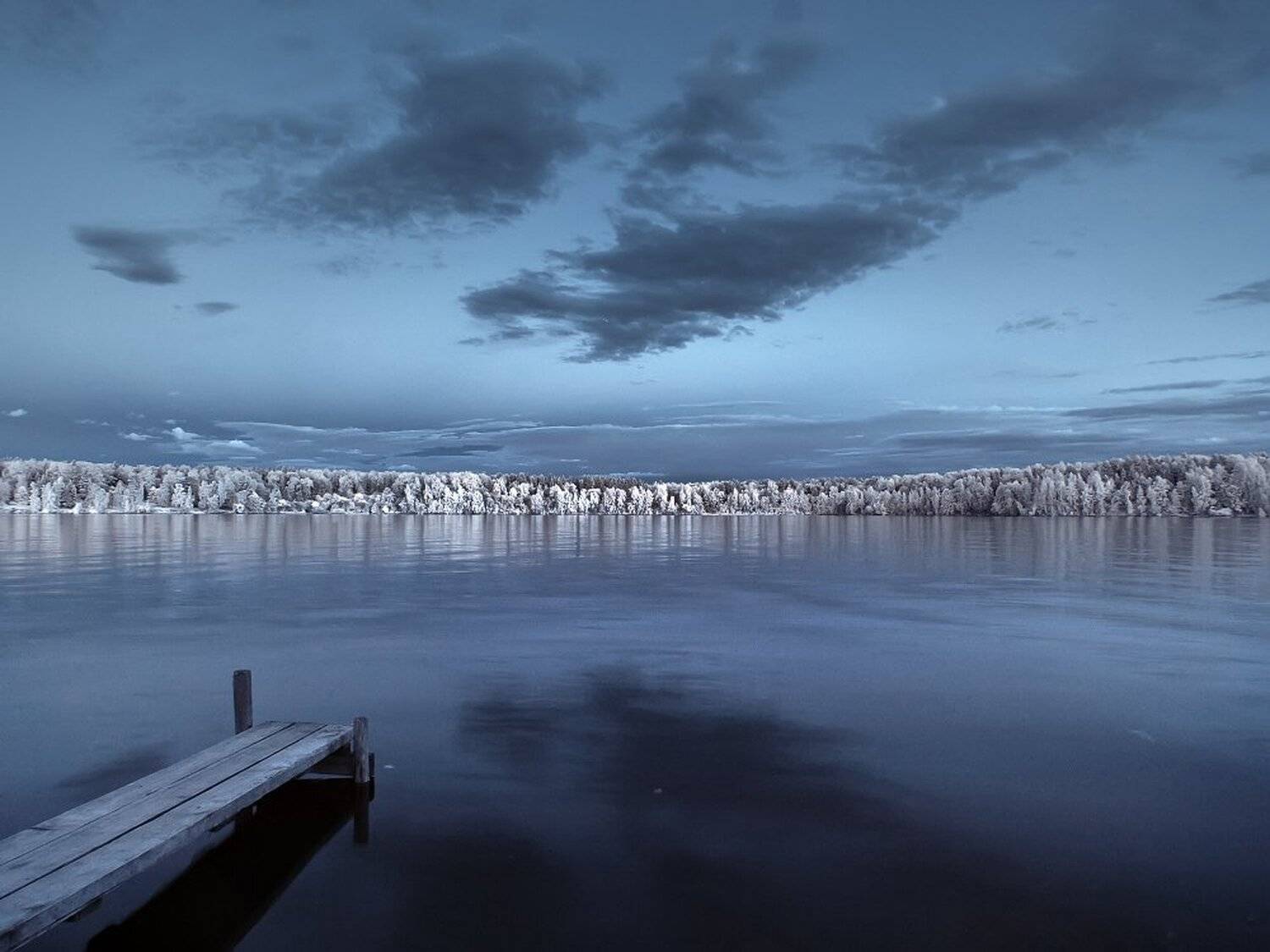 , Максим Евдокимов