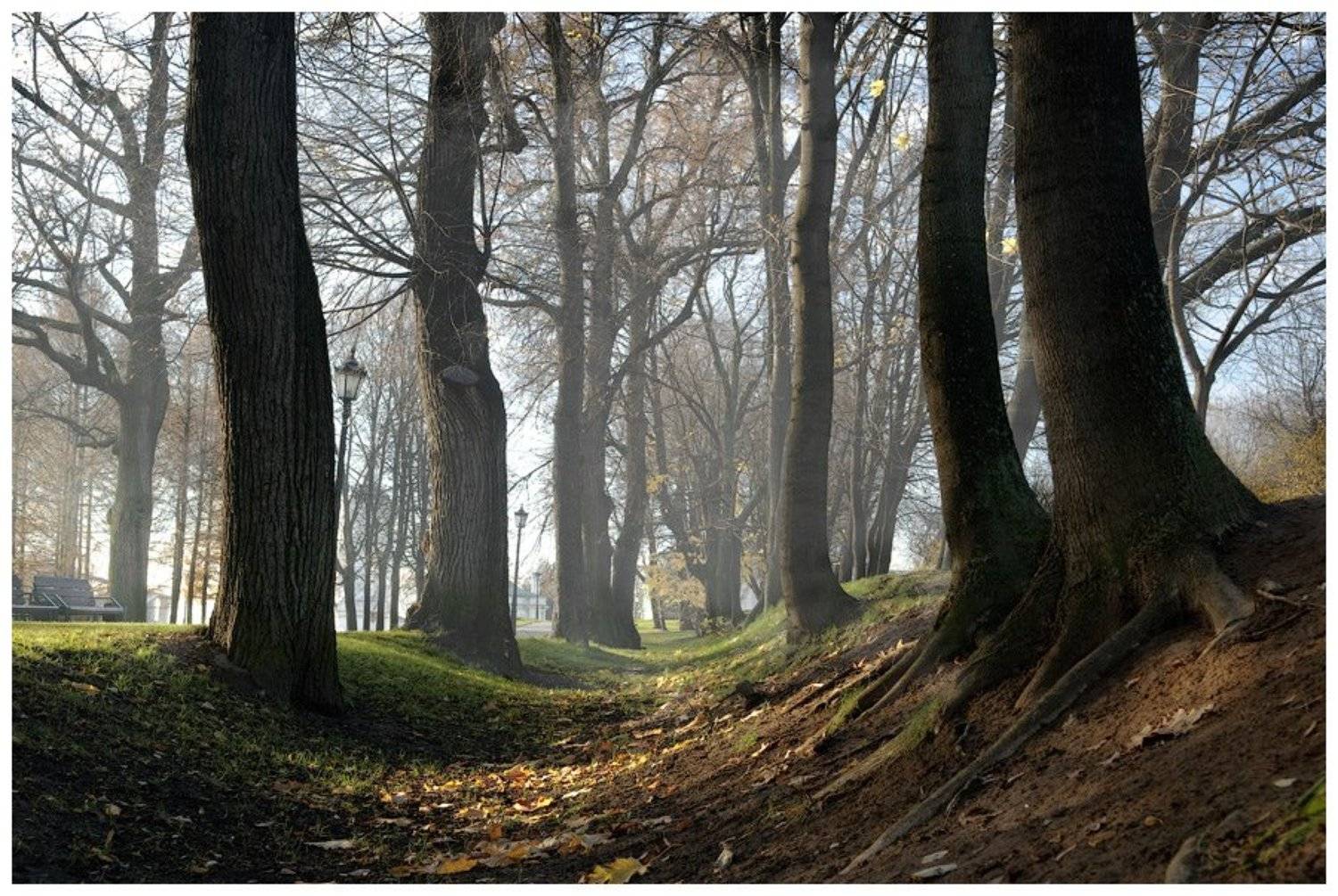 , Анатолий Иванов