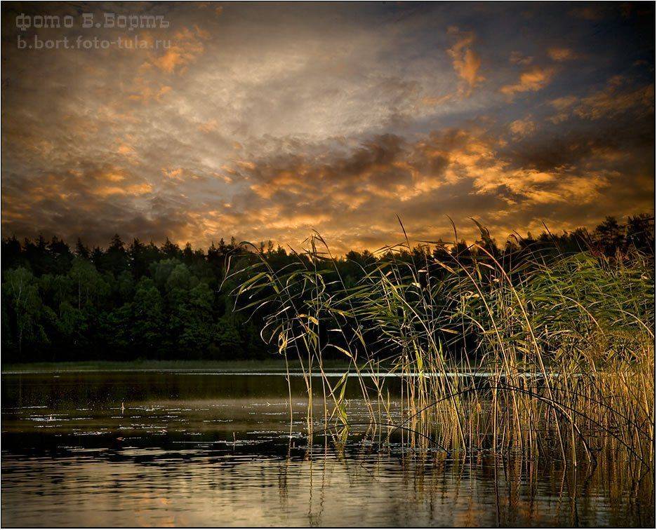 вечер, озеро, камыши, Boris Bort