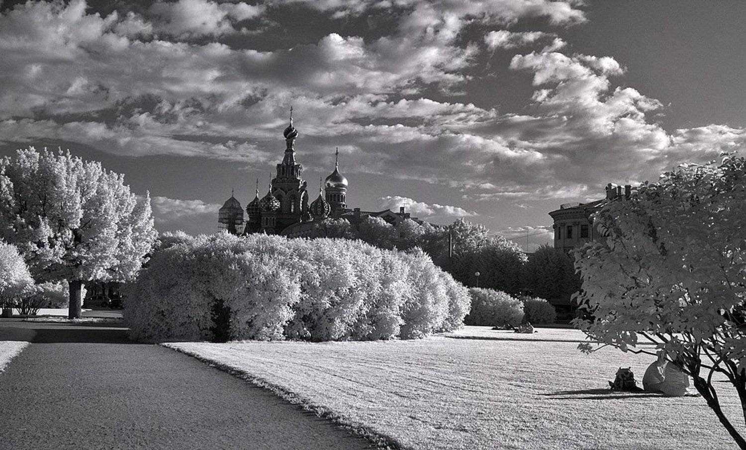 питер, инфра, Владимир Борисов