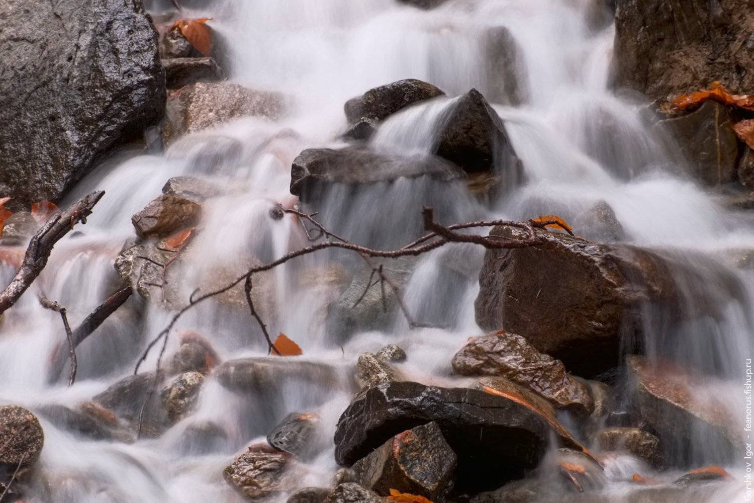 ручей, горы,каказ,домбай,лес, длинная выдержка, вода, водопад, соень, Горшков Игорь