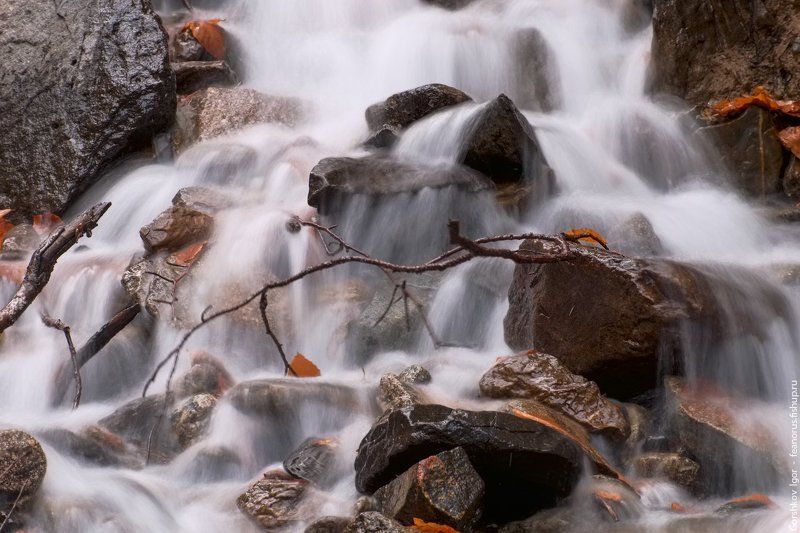 ручей, горы,каказ,домбай,лес, длинная выдержка, вода, водопад, соень Горный осенний ручей фото превью