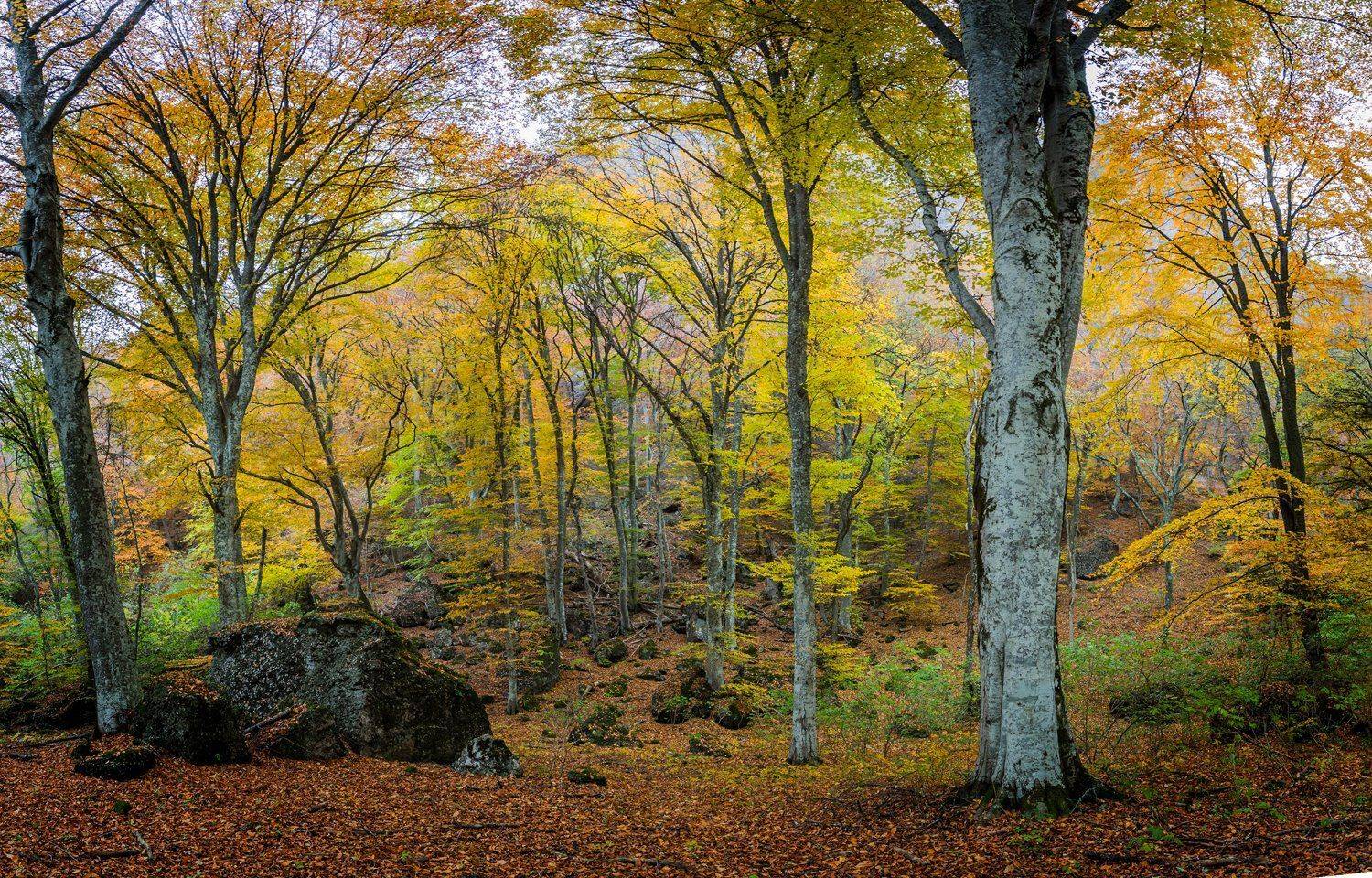 , Станислав Савицкий