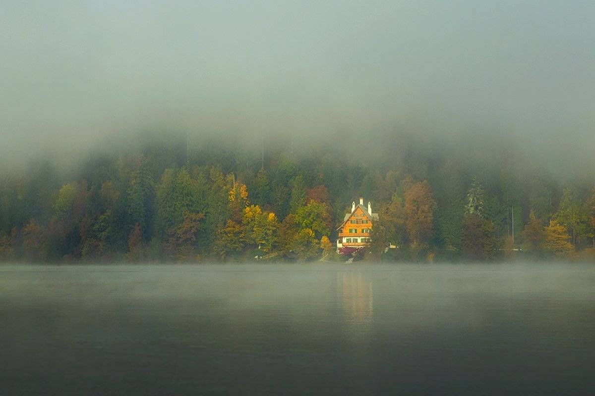 , Игорь Дубровский