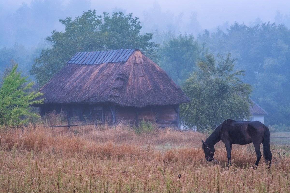 , Юрий Юрьев