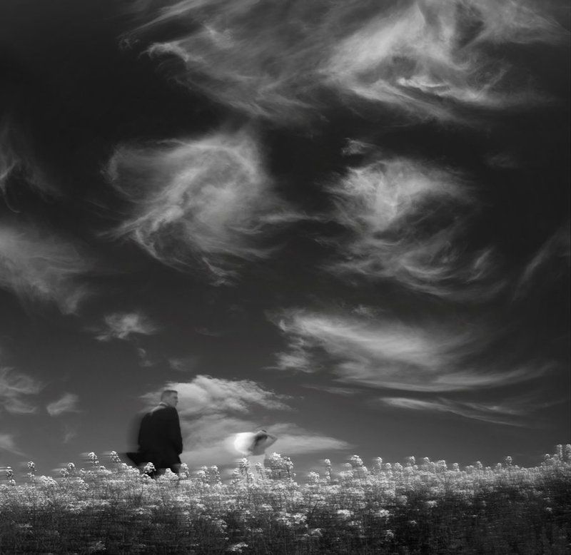 Gone with the Wind фото превью