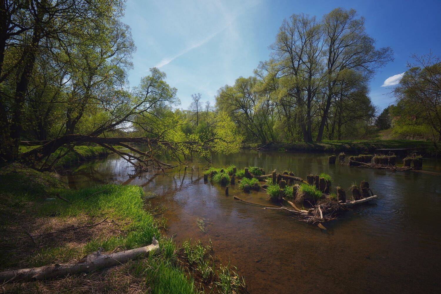 , Алексей Никонов