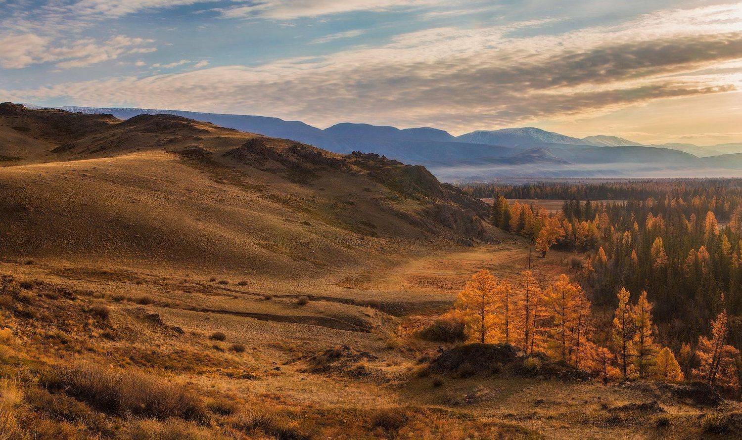 алтай,чуя, Владимир Липецких