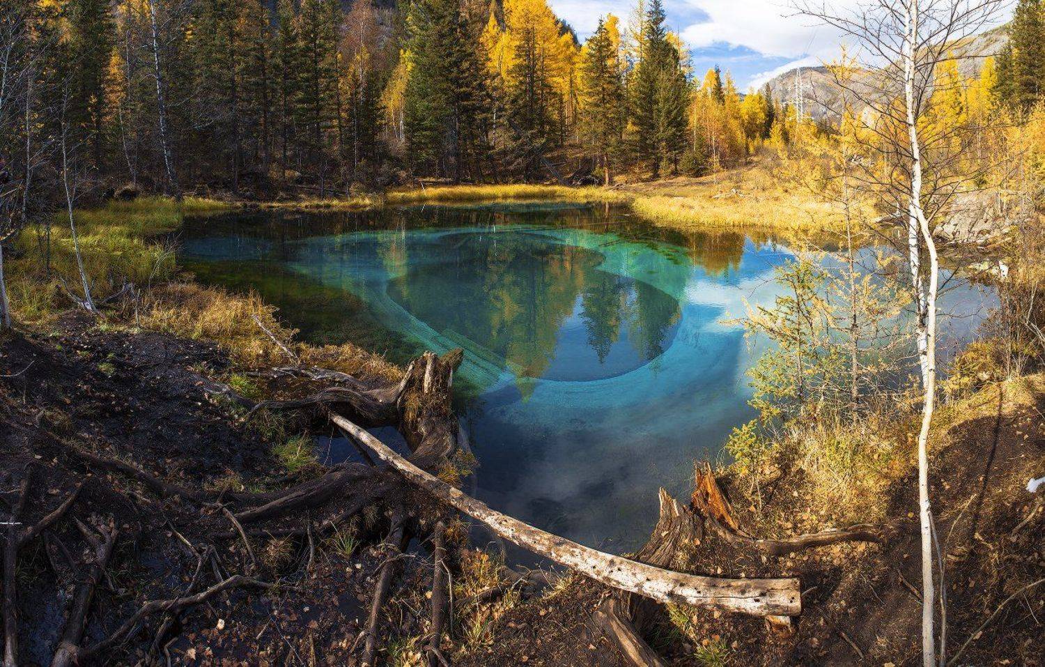 , Кочетков Евгений