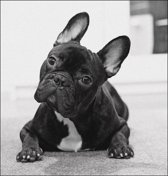 , Krzysztof Trojanowski