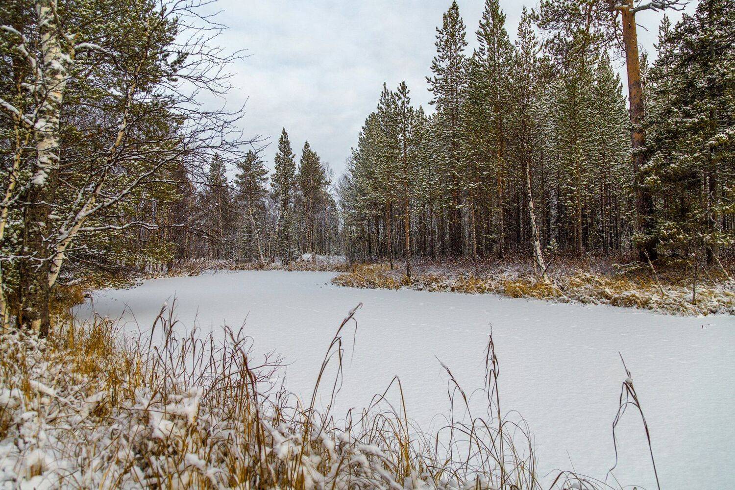 печора, Анатолий