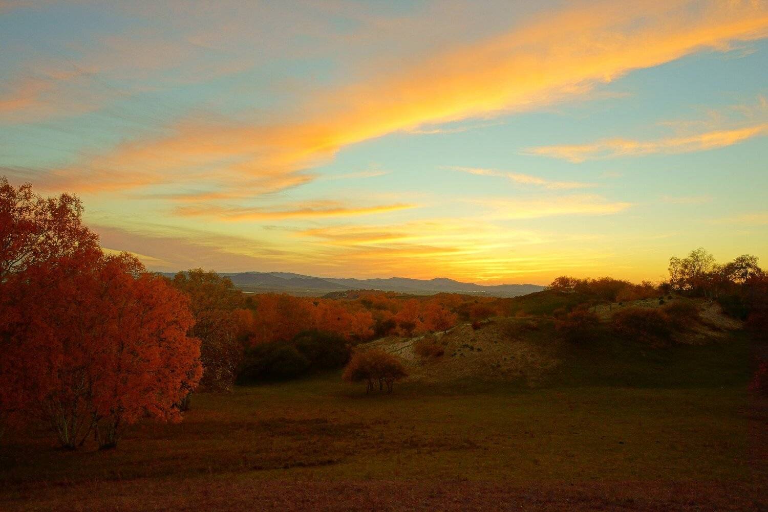 asia,china,neimenggu,basang,sunset,autumn,birch,plateau,sky,clouds,mountain,colorful, Shin
