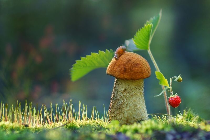 Дело было летом... фото превью