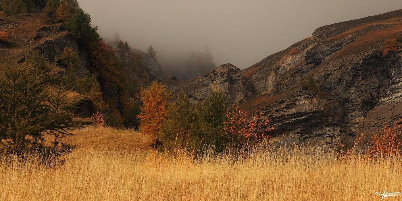swiss, Матвеев Николай