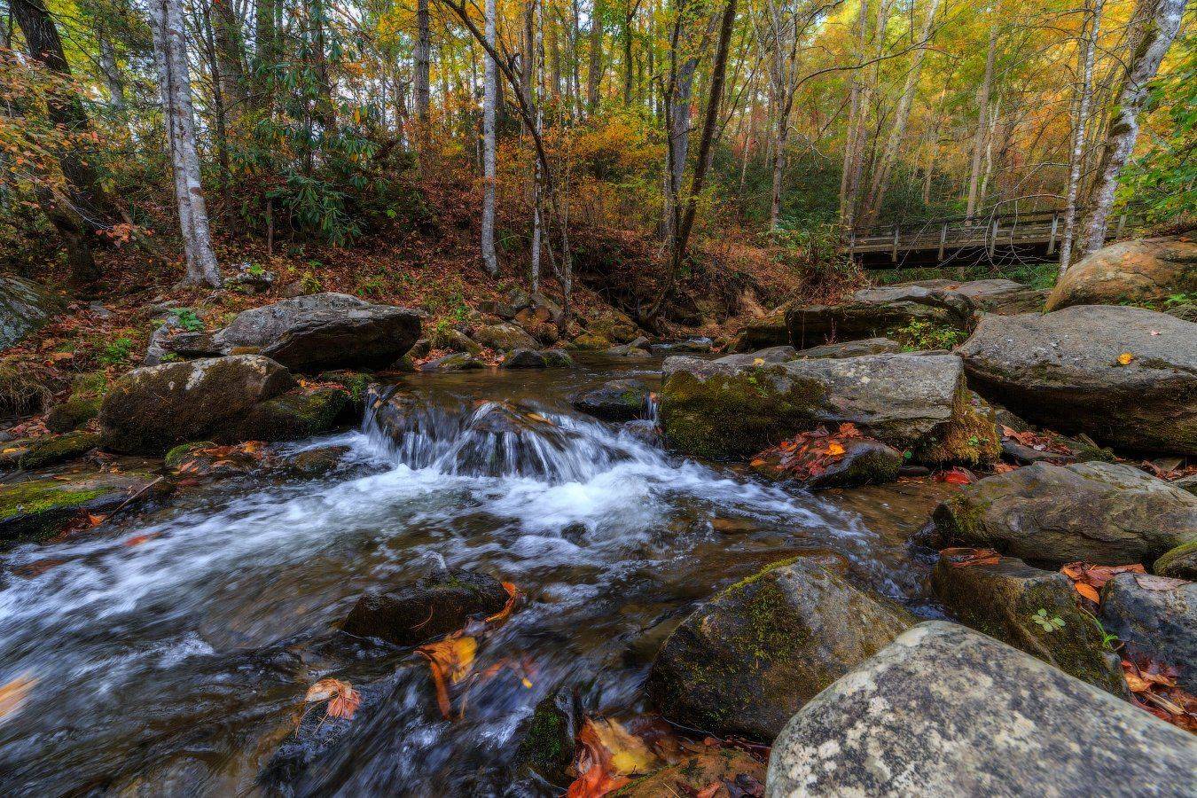 , Леонид Дьяченко
