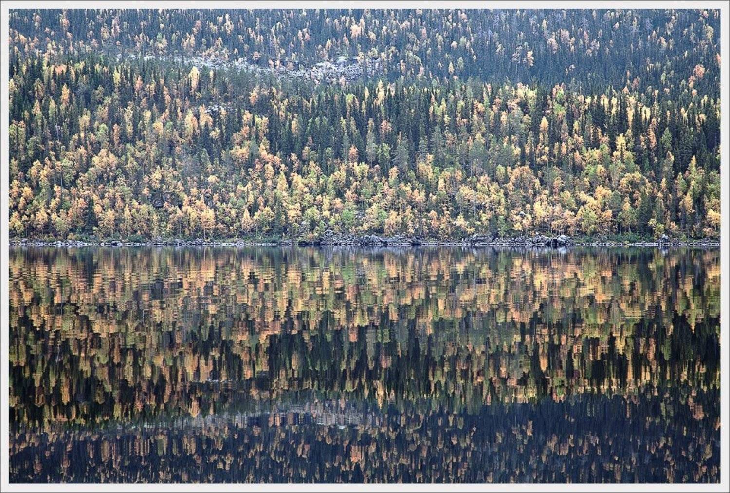 , Сергей Захаров.