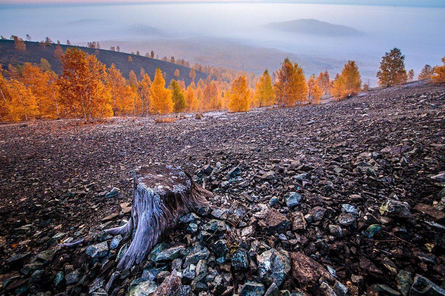 , Станислав Аристов