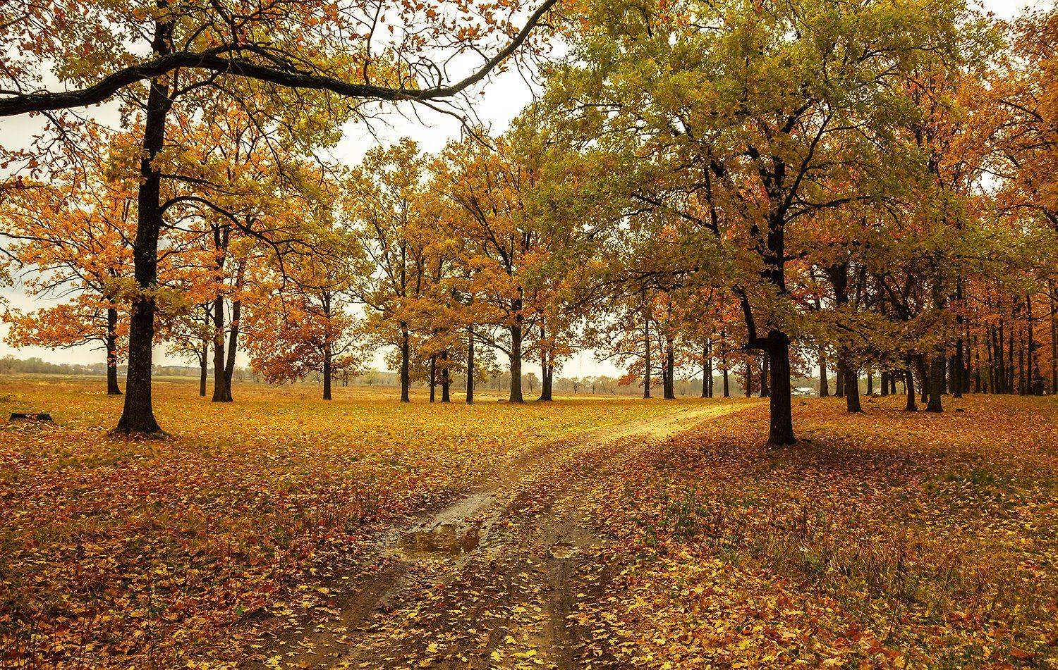 , Валерий Смирнов