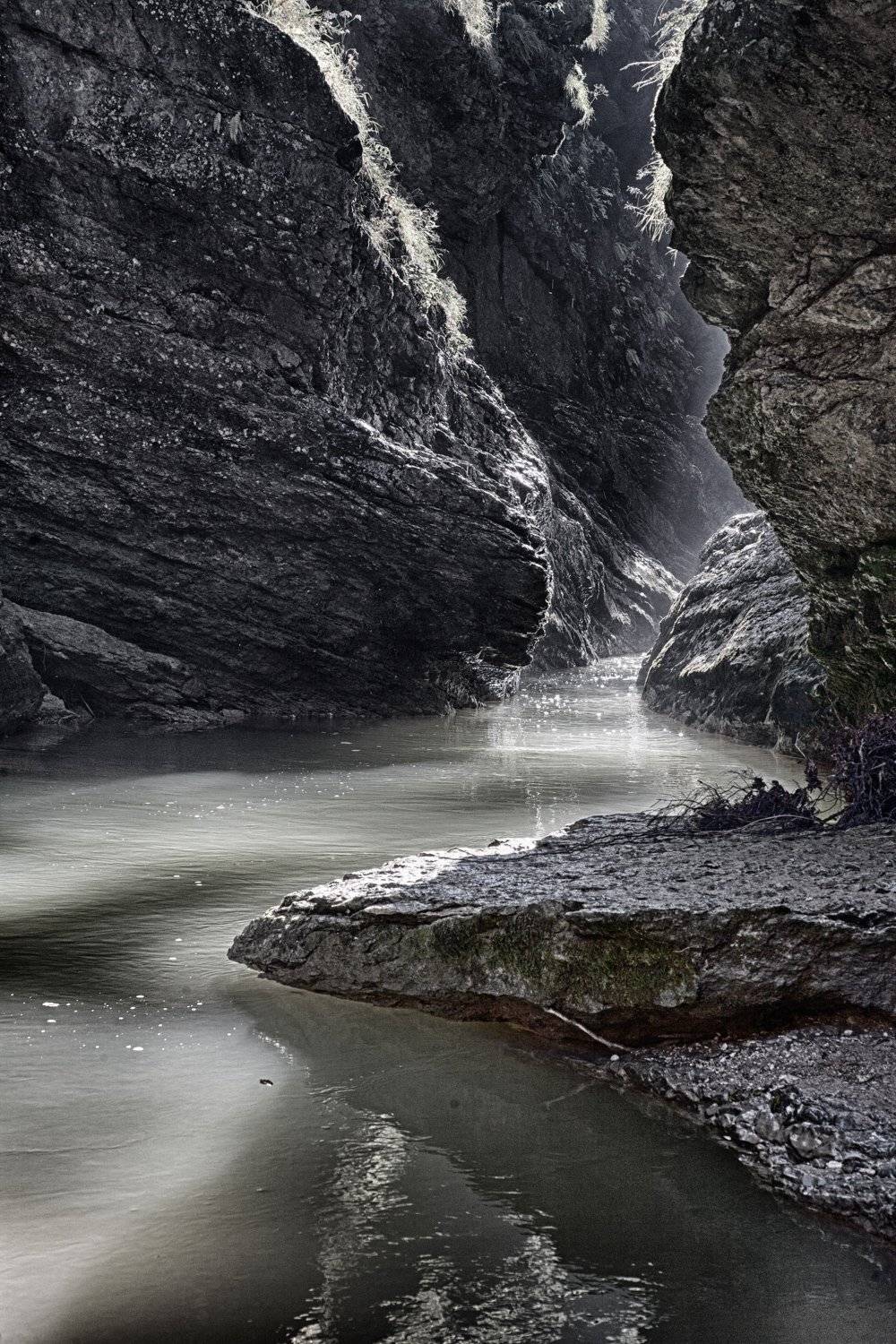 , Николай Шелепов