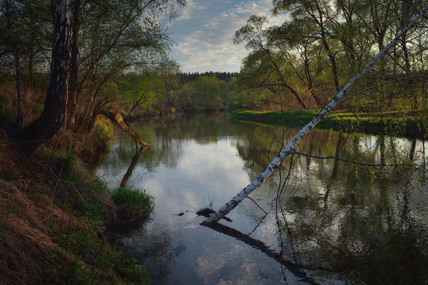 , Алексей Никонов