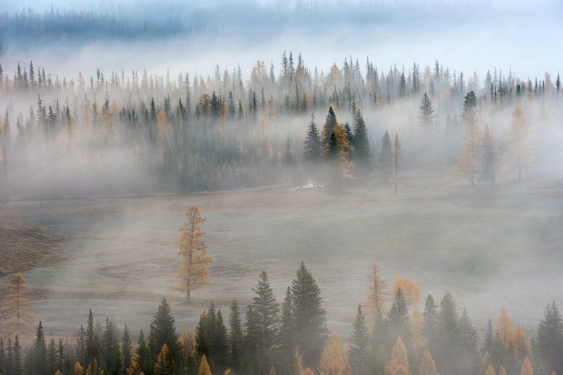 * фото превью