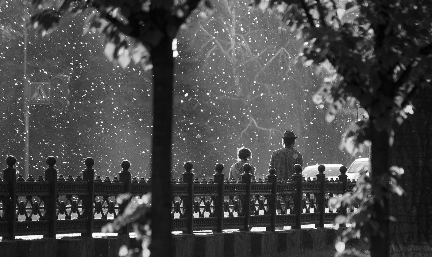 , Алексей Горохов