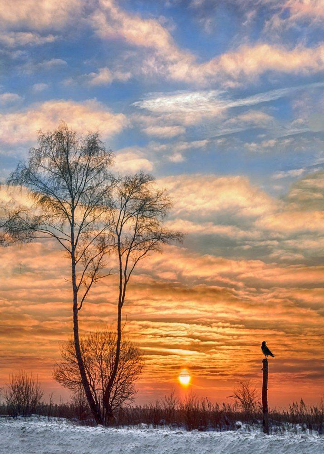 , Людмила Прокофьева