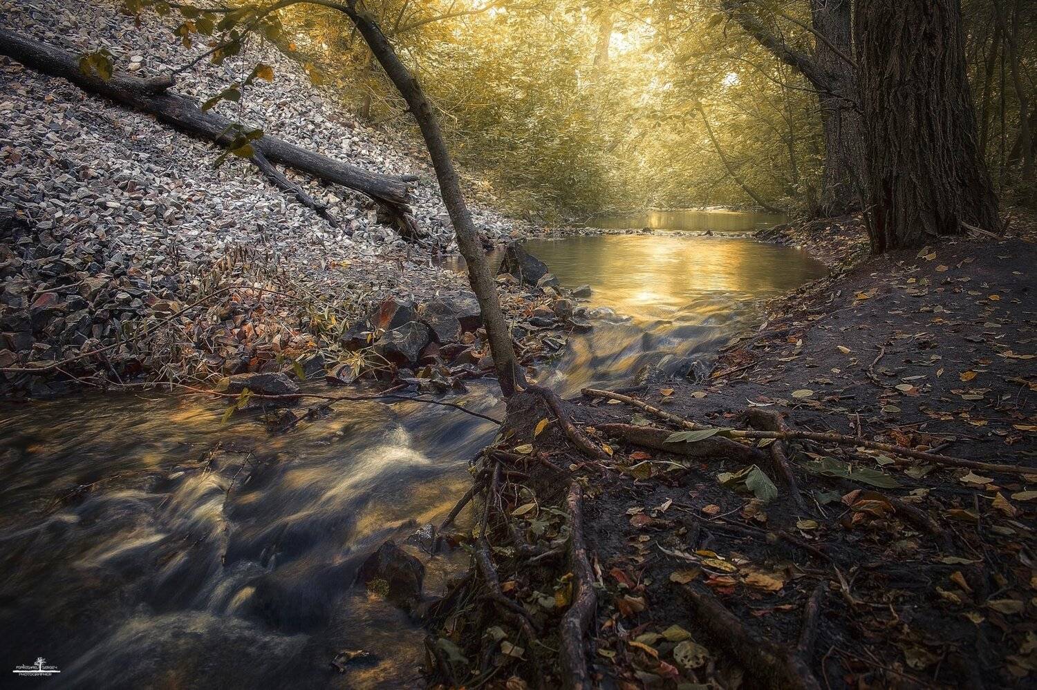 , Попрошаев Сергей