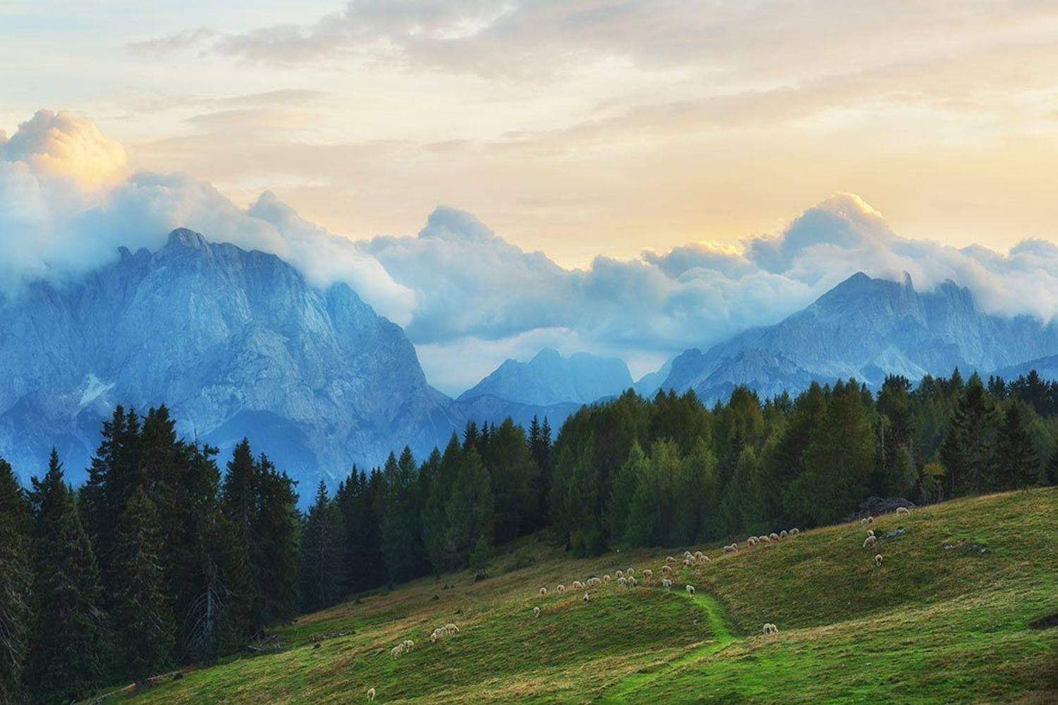 , Щипкова Елена