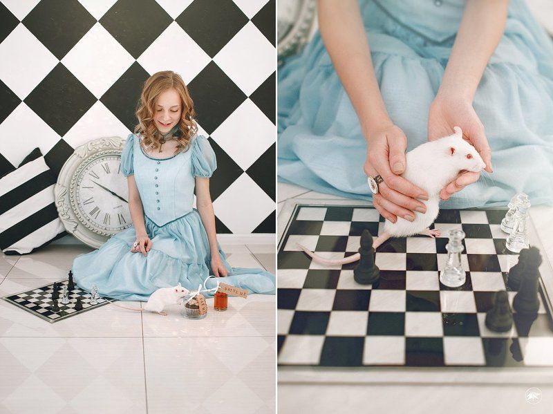 Алиса, девушка, белая мышь, шахматы, сказка Alice фото превью