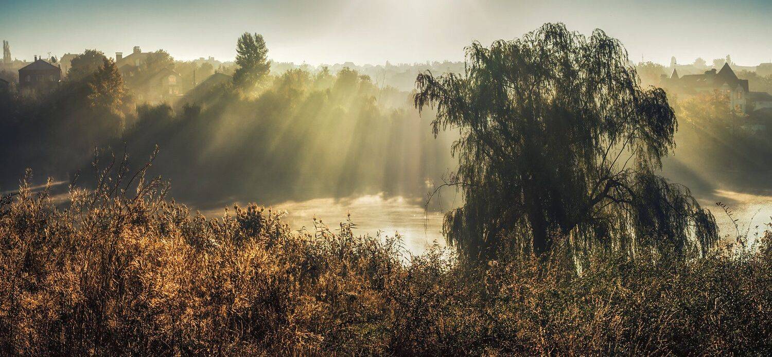 , Игорь Мелекесцев