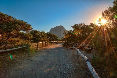 Прогулки по Можжевеловой роще.