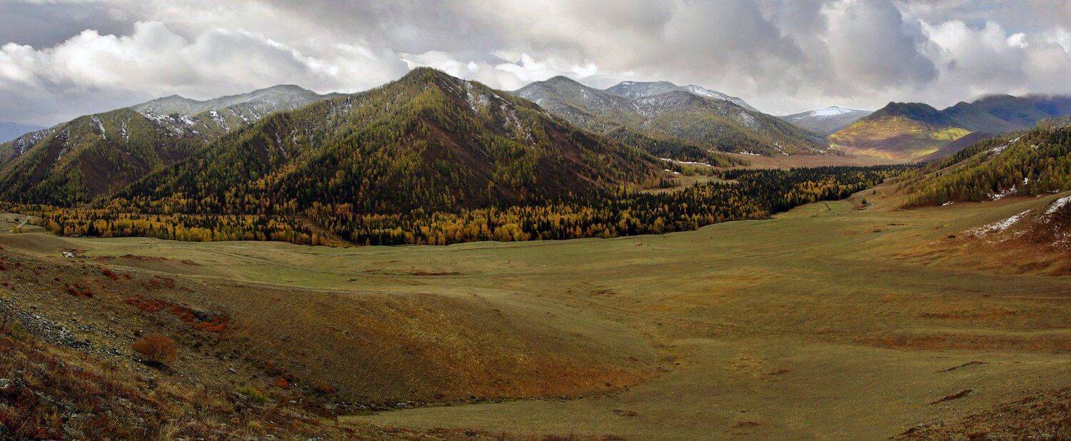 , Дмитрий Д.