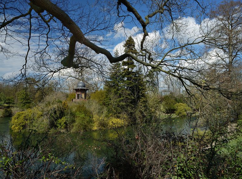 Весенние краски Булонского леса фото превью