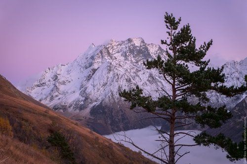 Сиреневые сумерки в горах