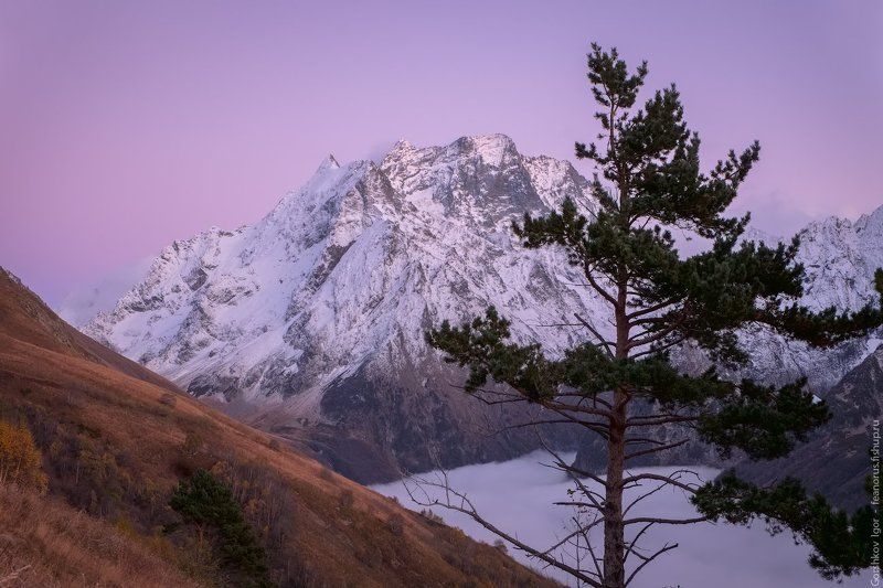 домбай, горы, кавказ,туман, осень, пейзаж,вечер,облака,вершины,россия Сиреневые сумерки в горах фото превью