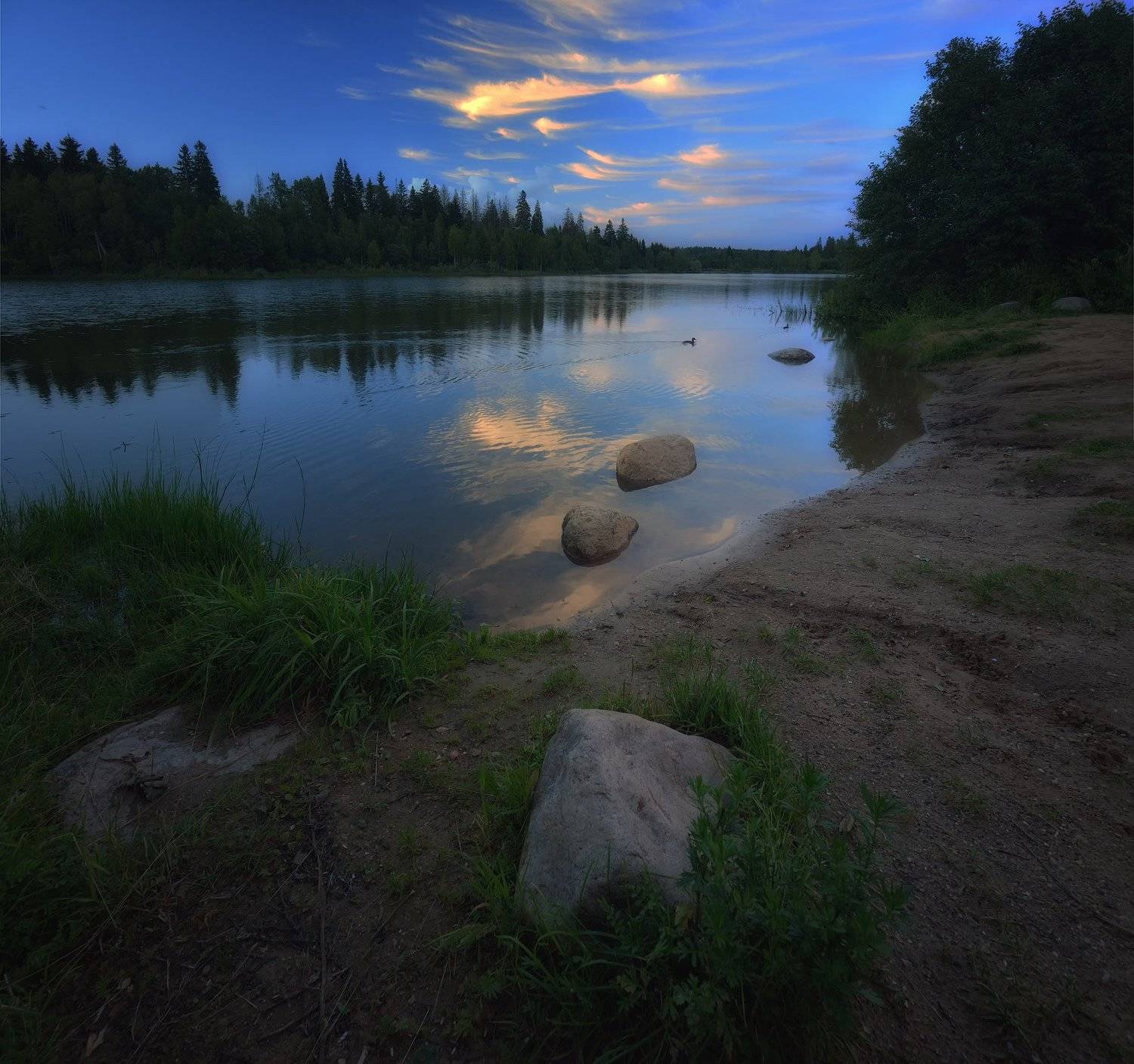 , Алексей Никонов