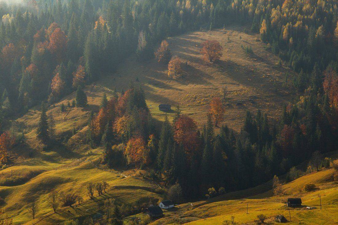 , Ярослав Тюрменко (Jaremi)