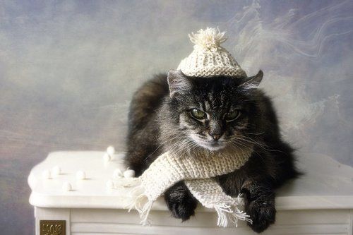 Мейсон спортсмен