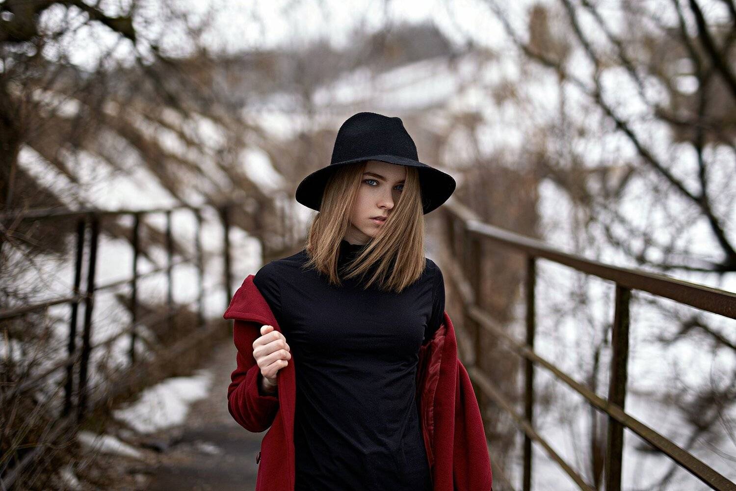 , Веселов Александр